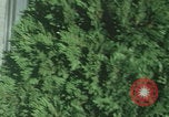 Image of New York City skyscrapers New York City USA, 1968, second 11 stock footage video 65675080414