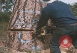 Image of tree cutting United States USA, 1968, second 4 stock footage video 65675080419