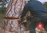 Image of tree cutting United States USA, 1968, second 5 stock footage video 65675080419