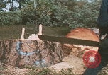 Image of tree cutting United States USA, 1968, second 8 stock footage video 65675080419