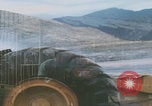Image of tree cutting United States USA, 1968, second 18 stock footage video 65675080419