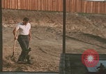 Image of tree cutting United States USA, 1968, second 25 stock footage video 65675080419