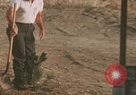 Image of tree cutting United States USA, 1968, second 26 stock footage video 65675080419