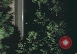Image of New York City skyline New York City USA, 1968, second 11 stock footage video 65675080421