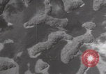 Image of US B-24 Liberator bombers Koror Palau Islands, 1945, second 3 stock footage video 65675080431