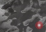 Image of US B-24 Liberator bombers Koror Palau Islands, 1945, second 5 stock footage video 65675080431