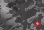 Image of US B-24 Liberator bombers Koror Palau Islands, 1945, second 6 stock footage video 65675080431
