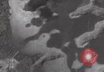 Image of US B-24 Liberator bombers Koror Palau Islands, 1945, second 7 stock footage video 65675080431