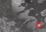 Image of US B-24 Liberator bombers Koror Palau Islands, 1945, second 8 stock footage video 65675080431