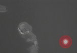 Image of Rock Islands Koror aerial Angaur Palau Islands, 1945, second 50 stock footage video 65675080436
