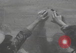 Image of Pious Plunderer B-24 Liberator Palau Islands, 1944, second 50 stock footage video 65675080437