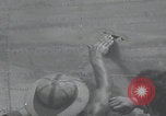Image of Pious Plunderer B-24 Liberator Palau Islands, 1944, second 60 stock footage video 65675080437
