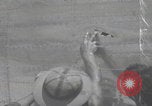 Image of Pious Plunderer B-24 Liberator Palau Islands, 1944, second 62 stock footage video 65675080437