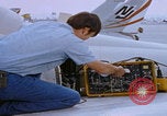 Image Équipage de l'escadron NAS Miramar San Diego California USA, 1974, de la seconde 39 séquences d'archives historiques vidéo 65675080445