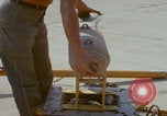 Image of Da Nang B-57B bomber Da Nang Vietnam, 1966, second 39 stock footage video 65675080459