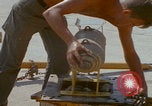Image of Da Nang B-57B bomber Da Nang Vietnam, 1966, second 42 stock footage video 65675080459