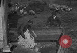 Image of sheep shearing United States USA, 1926, second 1 stock footage video 65675080468