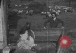 Image of sheep shearing United States USA, 1926, second 6 stock footage video 65675080468