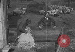 Image of sheep shearing United States USA, 1926, second 13 stock footage video 65675080468