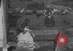 Image of sheep shearing United States USA, 1926, second 18 stock footage video 65675080468