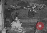Image of sheep shearing United States USA, 1926, second 19 stock footage video 65675080468