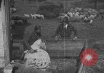 Image of sheep shearing United States USA, 1926, second 23 stock footage video 65675080468