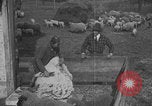 Image of sheep shearing United States USA, 1926, second 24 stock footage video 65675080468