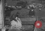 Image of sheep shearing United States USA, 1926, second 26 stock footage video 65675080468