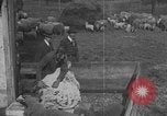 Image of sheep shearing United States USA, 1926, second 33 stock footage video 65675080468
