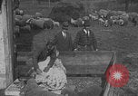 Image of sheep shearing United States USA, 1926, second 34 stock footage video 65675080468