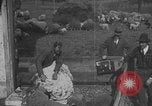 Image of sheep shearing United States USA, 1926, second 38 stock footage video 65675080468