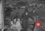 Image of sheep shearing United States USA, 1926, second 40 stock footage video 65675080468