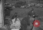 Image of sheep shearing United States USA, 1926, second 43 stock footage video 65675080468