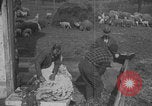 Image of sheep shearing United States USA, 1926, second 44 stock footage video 65675080468