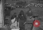Image of sheep shearing United States USA, 1926, second 47 stock footage video 65675080468