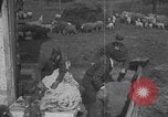Image of sheep shearing United States USA, 1926, second 49 stock footage video 65675080468