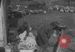 Image of sheep shearing United States USA, 1926, second 50 stock footage video 65675080468