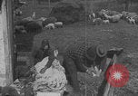 Image of sheep shearing United States USA, 1926, second 54 stock footage video 65675080468