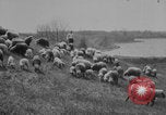 Image of shepherd herding United States USA, 1926, second 7 stock footage video 65675080469