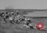 Image of shepherd herding United States USA, 1926, second 18 stock footage video 65675080469