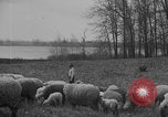 Image of shepherd herding United States USA, 1926, second 31 stock footage video 65675080469