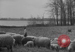 Image of shepherd herding United States USA, 1926, second 33 stock footage video 65675080469