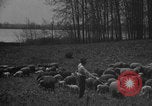 Image of shepherd herding United States USA, 1926, second 36 stock footage video 65675080469