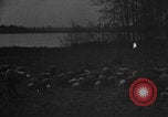 Image of shepherd herding United States USA, 1926, second 44 stock footage video 65675080469