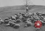 Image of shepherd herding United States USA, 1926, second 48 stock footage video 65675080469