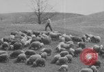 Image of shepherd herding United States USA, 1926, second 56 stock footage video 65675080469