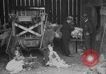 Image of sheep shearing United States USA, 1926, second 4 stock footage video 65675080472