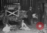 Image of sheep shearing United States USA, 1926, second 8 stock footage video 65675080472