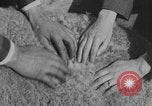 Image of sheep shearing United States USA, 1926, second 18 stock footage video 65675080472