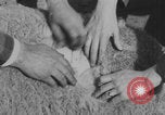 Image of sheep shearing United States USA, 1926, second 20 stock footage video 65675080472